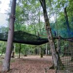 05.06 - 56 - Forêt des défis