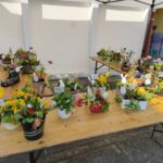 IMG_20260320_131718